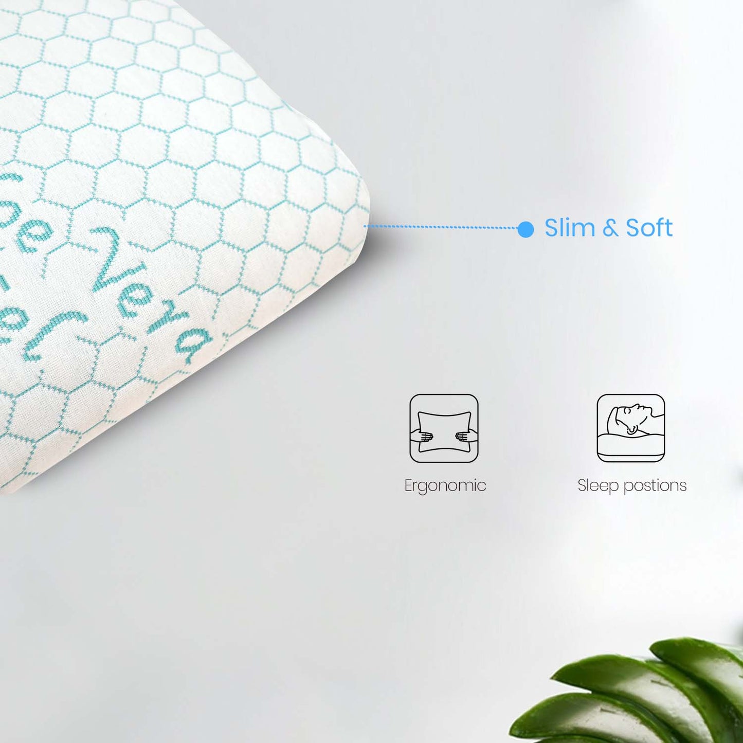 Aloe Vera Pillow