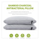 Soyabean Pillow